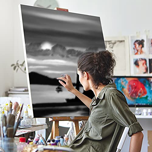 HA SHI Soft Chalk Pastels for Adult Artists, 3 Black + 3 White Sticks | Two tone extremes in one pack: darken shadows and lift highlights without buying a full color set. Seal with fixative. - color: Black & White (6 Sticks)