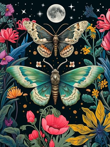 SANYUN Diamond Painting Kits for Adults,5D Butterfly Diamond Art Kits for Beginners,Full Round Drill Flowers Gem Art Painting,Perfect for Gift and Home Wall Decor 12''W x 16''L - color: C-005 Butterfly