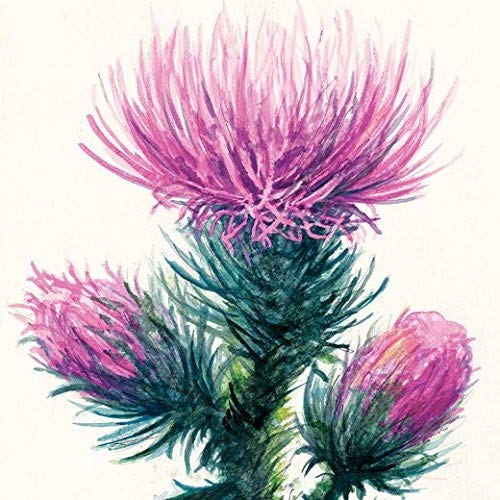 Strathmore Watercolor Paper Pad 12"X12"-12 Sheets -298112 (Pack of 12) - size: 12 x 12 inches (Pack of 12), style: Tape Binding