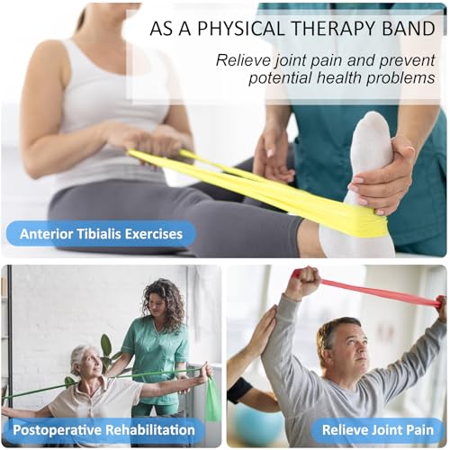 Resistance Bands Set for Physical Therapy, Rehab, Yoga and Pilates - color: Five Colors 5-80 lbs - Includes Accessories