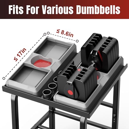Dumbbell Rack Only Weight Stand For Adjustable Weight 500lbs Load up Heavy Duty for Home Gym（No Dumbbell, Rack Only）