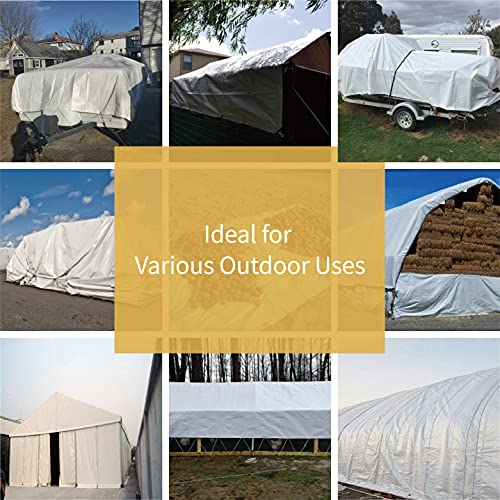 GUARD SHIELD Super Heavy Duty White Ploy Tarp Cover 16x16 Feet Waterproof Tarps 16mil Thick UV and Tear Resistant Tarpualin - color: White, size: 16x16