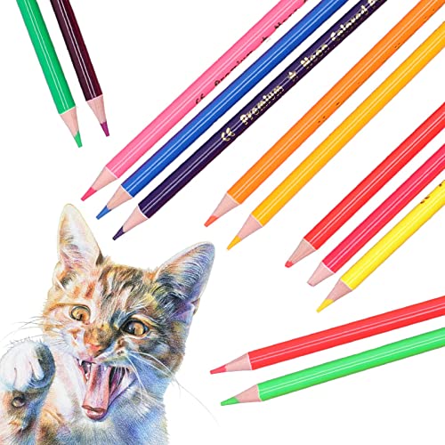 Zerodis 12Pcs Set, Metallic Fluorescent Professional Coloring Pencil Art Colored Pencils Sketch Graffiti Painting Supplies for Adults and Kids(Neon Color Pencils) - color: Neon Color Pencils