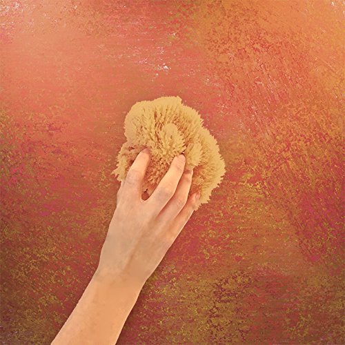 Unbleached Natural Sea Sponges for Artists 2pk, 5"-5.5", Painting & Crafts | Large 5"-5.5" sponges, faux finishes, marbling, texturing, limestone & Venetian plaster. 2pc unbleached pack for artists.
