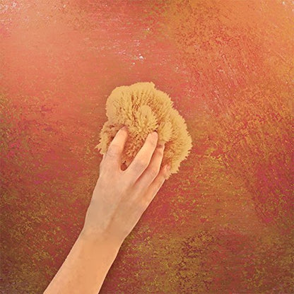 Unbleached Natural Sea Sponges for Artists 2pk, 5"-5.5", Painting & Crafts | Large 5"-5.5" sponges, faux finishes, marbling, texturing, limestone & Venetian plaster. 2pc unbleached pack for artists.