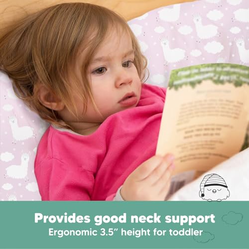 Toddler Pillow with Pillowcase, 13x18 My Little Dreamy Pillow (Alpacas) - color: Alpacas