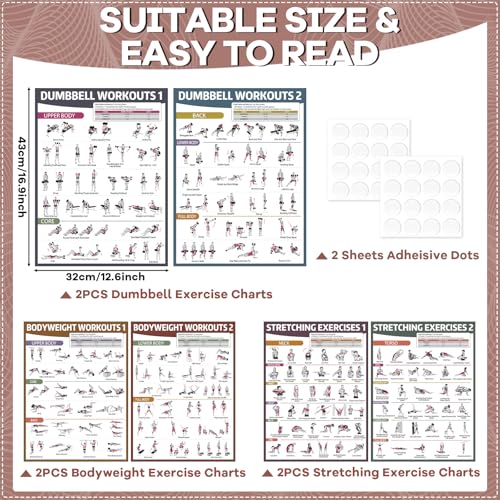 gisgfim 6PCS Workout Posters for Home Gym Dumbbell Bodyweight Stretching Workout Exercise Chart - color: Retro