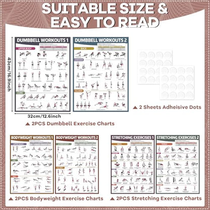 gisgfim 6PCS Workout Posters for Home Gym Dumbbell Bodyweight Stretching Workout Exercise Chart - color: Retro