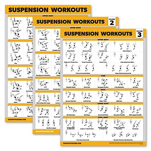 Palace Learning 3 Pack Suspension Workout Posters - Volume 1, 2 & 3 - Exercise Charts