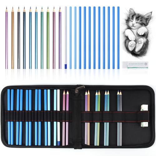 Professional Drawing Set,10 Colored Pencils,12 Graphite Pencils,Eraser,Case | Portable Travel Colored Pencil Case,Sketching Shading Blending Art Supplies,Gifts for Artists Adults Beginners.Metallic Black - color: Set-Metallic