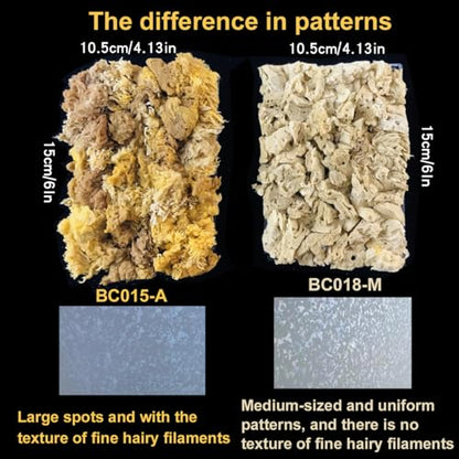 Natural Sea Sponge Dauber for Wall Texture Paint & DIY Art Painting | Natural sea sponge for painting,creates authentic organic wall effects,ideal for mottled texture finishing,great for DIY&pro