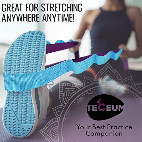 TECEUM Stretching Strap with 10 Loops for Physical Therapy & Rehab - color: Purple Blue, size: Polypropylene 1” W - 10 Loops