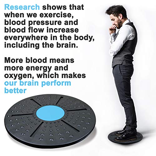 Daiwa Felicity Balance Board Disc Wobble Board – Physical Therapy Stability Trainer, Lightweight Core Balance Disc (1 lb) Supports Up to 300 lbs, Non-Slip Round Balance Board for Core Workout, Rehab, Standing Desk Fitness