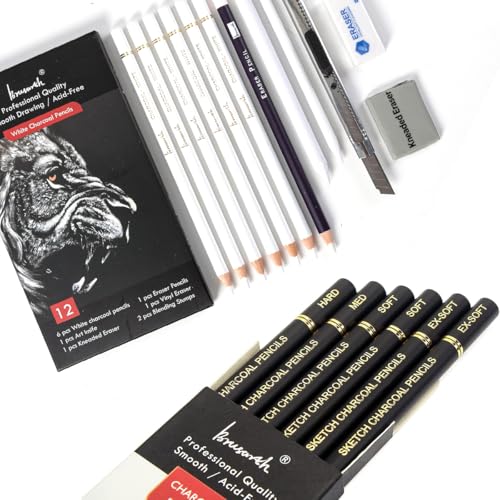 Brusarth Black & White Charcoal Pencils Set - Charcoal Pencils Set for Drawing, Sketching, Shading, Blending, Artist Pencils for Artists, Professionals or Beginners