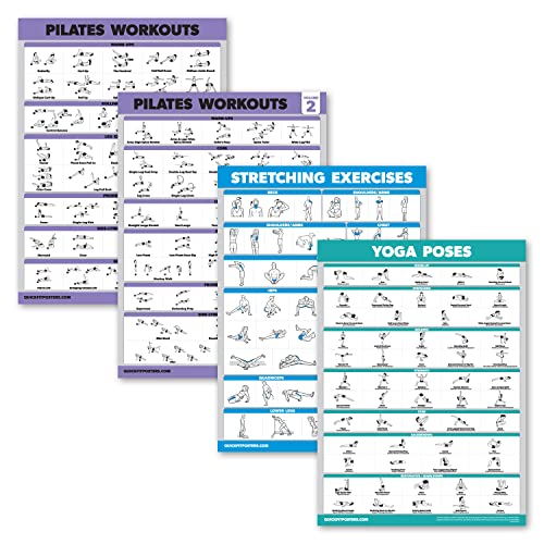 Palace Learning 4 Pack - Pilates Workout Volume 1 & 2 + Stretching + Yoga Poses - Exercise Poster Set (18" x 24", LAMINATED) - style: LAMINATED
