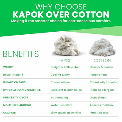 Bean Products Premium Kapok Fill | 1 lbs | 100% Organic Kapok Fiber | Chemical Free and Hypoallergenic | Perfect for Pillows, Pet Beds, Couches & More | Made in USA - size: 1 Pound (Pack of 1)