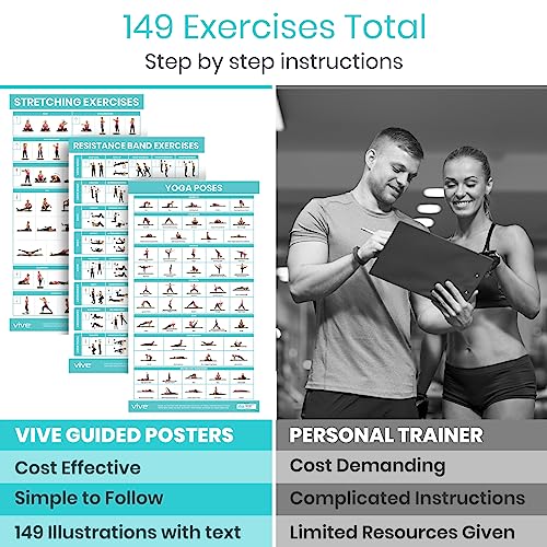 Vive 3 Pack Workout Posters for Home Gym - Yoga Poses, Stretching Exercises