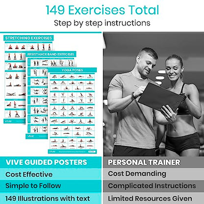 Vive 3 Pack Workout Posters for Home Gym - Yoga Poses, Stretching Exercises