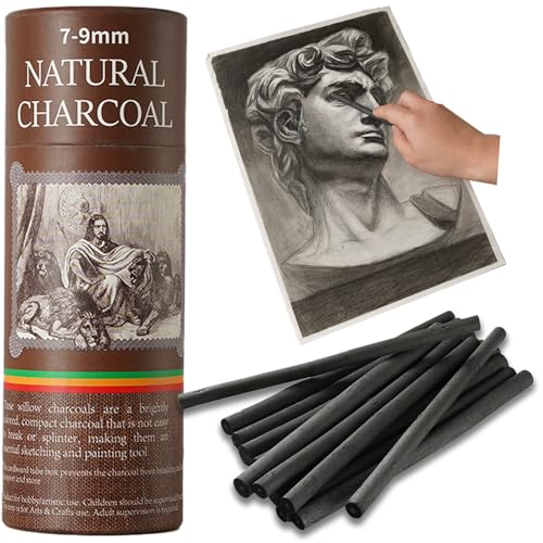 25 PCS Willow Charcoal Sticks, Ideal for Artists, Beginners, Students, Perfect for Sketching, Drawing, Shading, and Fine Art, 5.7 Inches Long, 2-4,4-5,5-7,7-9 (7-9) - style: 7-9