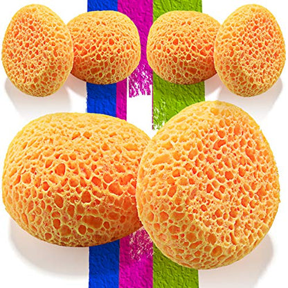 LAVEVE Knockdown Texture Sponge for Wall and Drywall Patch/Repair, 2 Pcs | Home Decor DIY Painting for Ceiling and Wall Texture