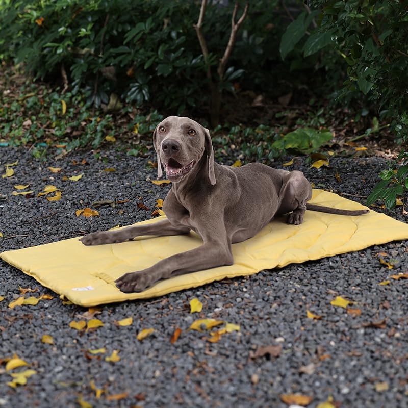 Lightly Padded Roll-Up Travel Dog Mat Settle & Place Training - color: Yellow, size: Large(46.46"x26.38")