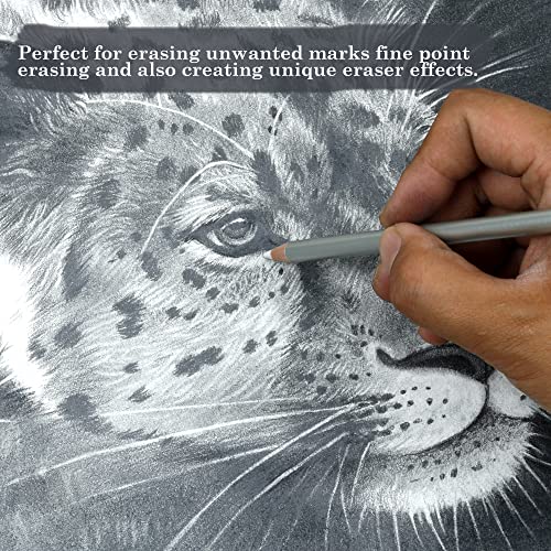 KALOUR Detail Eraser Pencil - 6pc Pencils with Brush and 2pc Sharpener,Erasing Small Details or add Highlights for Sketching, Charcoal Drawings. Fine Detail Eraser for Beginners & Artists
