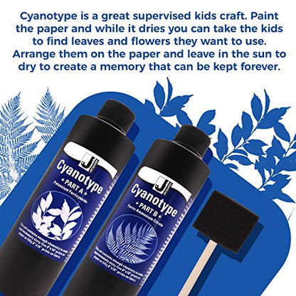 Jacquard Cyanotype Kit Sun Printing for Paper & Fabric Bundled Sponge Brush | 2 part Jacquard cyanotype Sun print chemistry, makes 65+ prints, works on cotton, silk, canvas, wood, leather & paper