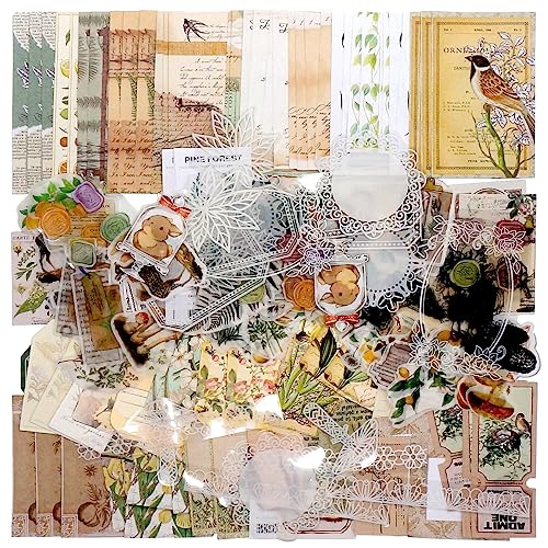 Teniinet 260 PCS Vintage Scrapbooking Supplies Kit for Beginners (Natural) | Large Collection, Aesthetic Journaling, Bullet Junk Journals, Arts Craft Collage,Ephemera Adults,Girls Teenage School Style - color: Natural