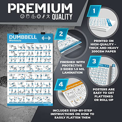 [12-PACK] Laminated Large Workout Poster Set - Perfect Workout Posters for Home Gym - Exercise Charts Incl. Dumbbell, Yoga Poses, Resistance Band, Kettlebell, Stretching & More Fitness Gym Posters - style: White