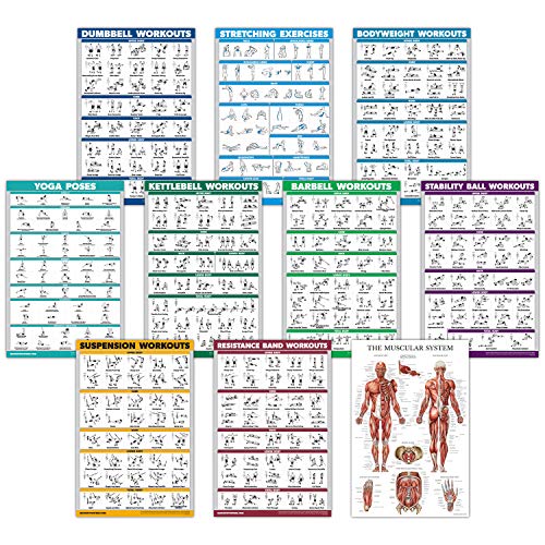 10 Pack - Exercise Workout Poster Set - Dumbbell, Suspension, Kettlebell, Resistance Bands, Stretching, Bodyweight, Barbell, Yoga Poses, Exercise Ball, Muscular System Chart (LAMINATED,18" x 24")