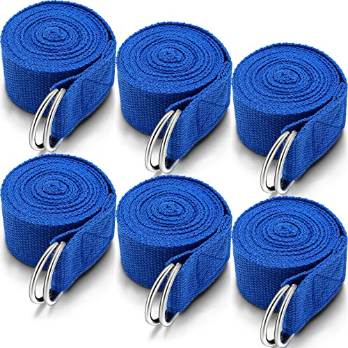 6 Pcs Yoga Straps for Stretching 8 Ft, Safe D Ring Buckle - color: Royal Blue