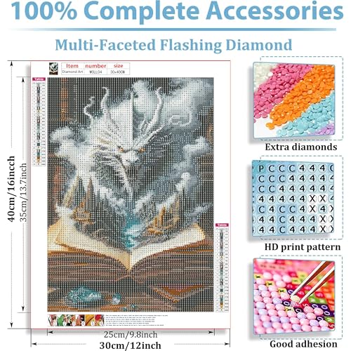 DFPSCLLA Diamond Painting Kits for Adults- Dragon and Magic Book Diamond Art Kits for Adult Beginners, DIY Full Round Diamond Painting Gem Art and Crafts 12x16inch - color: Dragon and magic book