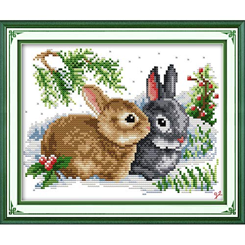 ITSTITCH Stamped Cross Stitch Kits for Beginners Full Range of Cross Stitching Preprinted Pattern for Adults, DIY Needlepoint Starter Kits (Lucky Rabbits 13x9.5 inch) - color: Lucky rabbits 13x9.5 inch