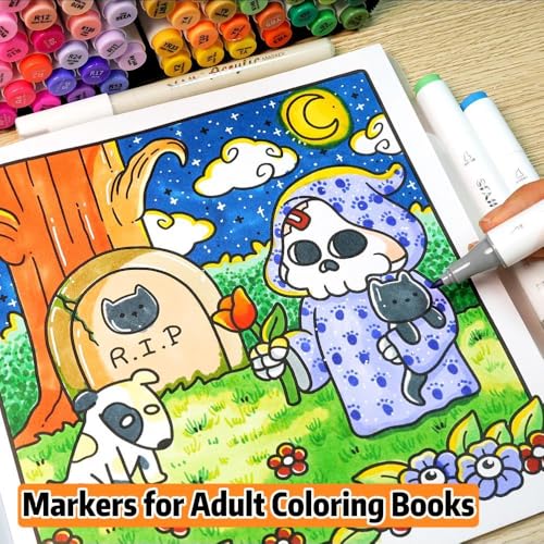 SFAIH Dual Tip Alcohol Markers, 25 Colors, Chisel & Fine Art Coloring Set | Colorless Blender & No-Bleed Sheet, Gift for Beginner, Non-Toxic, Adult Coloring Books Illustration Scrapbook Poster Drawing - color: 25 Colors
