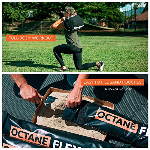 Adjustable Sandbags for Fitness 75lb - Home Workout Sandbag Set with 3 x Filler Bags and Exercise Poster - Training Weighted Sand Bag Equipment with Handles for Gym & Crossfit USA (75)