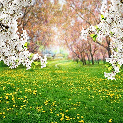 AOFOTO 5x5ft Spring Scenic Backdrop Sweet White Cherry Flowers Photography Background Meadow Floral Blossoms Garden Florets Grassland Park Flower Trees Kid Baby Portrait Photo Shoot Studio Props Vinly - size: 5x5ft