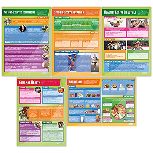 Health, Fitness & Well-Being Class Posters, Set of 5, EXTRA LARGE 33"x23.5" | Gloss Paper, PE Middle & High School Class Decoration, Wall Charts by Daydream Education