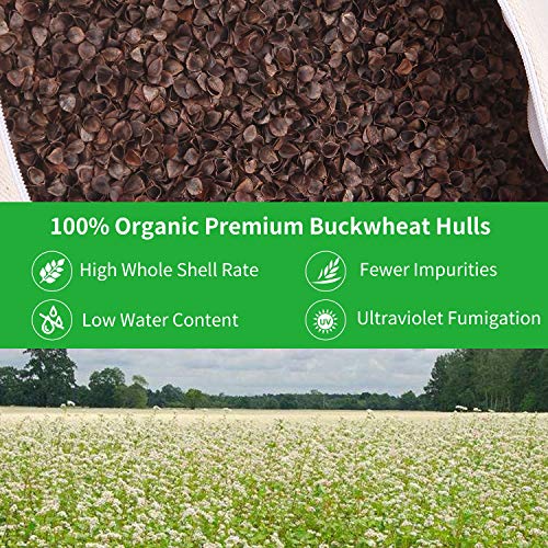 Organic Buckwheat Bolster (24X10.5X5.5 in) Supportive Rectangular Meditation Pillow 100% Cotton Cover Yoga Pillow - color: Green
