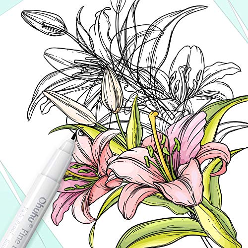 Ohuhu Fineliner Micro Drawing Pens: 8-size Tips (Ultra-fine, Fine & Brush) | Waterproof Pigment Black Ink for Illustration Drawing Journaling Sketching for Artist Beginners