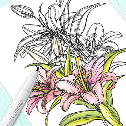 Ohuhu Fineliner Micro Drawing Pens: 8-size Tips (Ultra-fine, Fine & Brush) | Waterproof Pigment Black Ink for Illustration Drawing Journaling Sketching for Artist Beginners