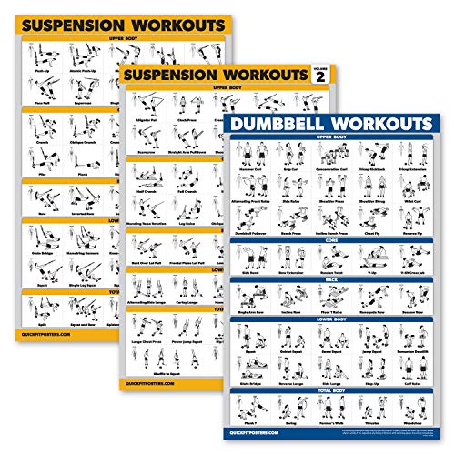 Palace Learning 3 Pack - Suspension Workout Posters - Volume 1 & 2 + Dumbbell Exercises Poster Set - Set of 3 Workout Charts
