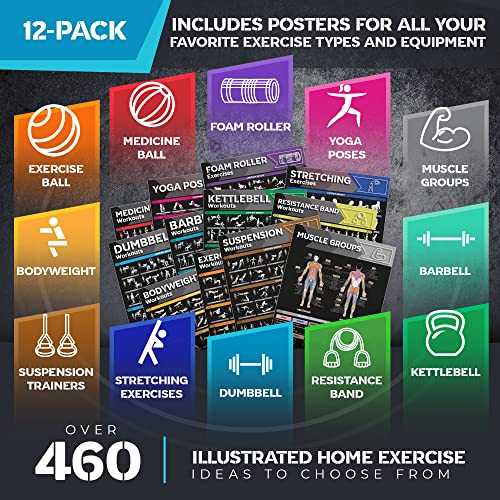 [12-PACK] Laminated Large Workout Poster Set - Perfect Workout Posters for Home Gym - Exercise Charts Incl. Dumbbell, Yoga Poses, Resistance Band, Kettlebell, Stretching & More Fitness Gym Posters - style: Dark