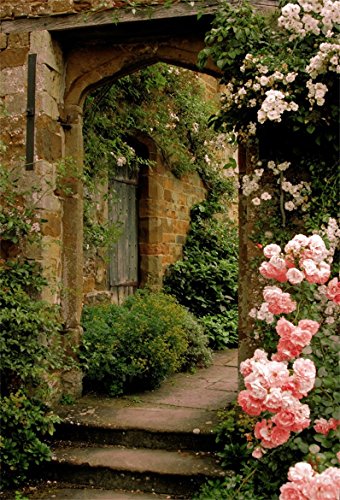 AOFOTO 5x7ft Vintage Garden Flowers Backdrop Blossoms Photography Background Medieval Castle Shabby Brick House Girl Adult Artistic Portrait Travel Photo Shoot Studio Props Video Drop Wallpaper Drape - size: 5x7ft