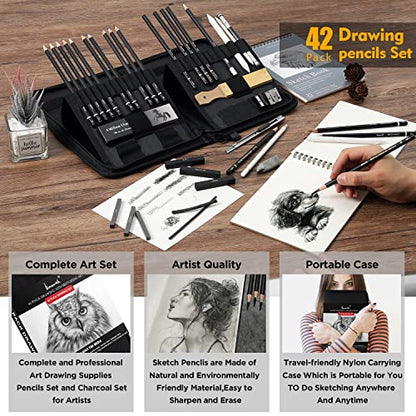 Brusarth Art Supplies Drawing and Sketching for Artists, 42 Pack | Art Sketch Supplies with Sketchbook, Include Graphite Pencil,Charcoal Pencil,Sharpener,Eraser Art Supplies for Artists