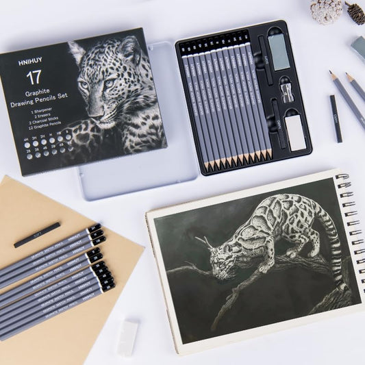 HNIHUY Sketch Drawing Pencils Set, 17 Pcs, Graphite Pencils (8B-4H) | Sketch Pencils for Drawing Art, Erasers and Sharpener, Art Drawing Pencil for Artists Beginner Sketching
