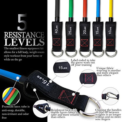 TheFitLife Resistance Bands Set with Handles, Door Anchor and Ankle Straps | Workout Bands for Muscle Strength Training, Home Gym Fitness, Full Body Exercise for Men, Women, Pilate, and Physical Therapy