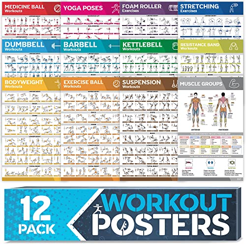 [12-PACK] Laminated Large Workout Poster Set - Perfect Workout Posters for Home Gym - Exercise Charts Incl. Dumbbell, Yoga Poses, Resistance Band, Kettlebell, Stretching & More Fitness Gym Posters - style: White