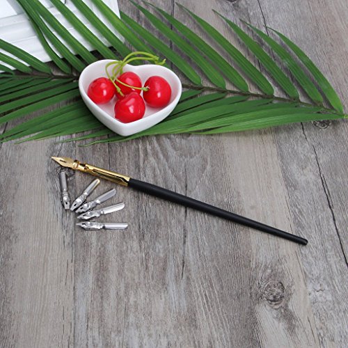 Tebatu Dip Pen Set, Wooden Handler Artist Signature Pen Set Calligraphy Dip Pens with 5 Nibs