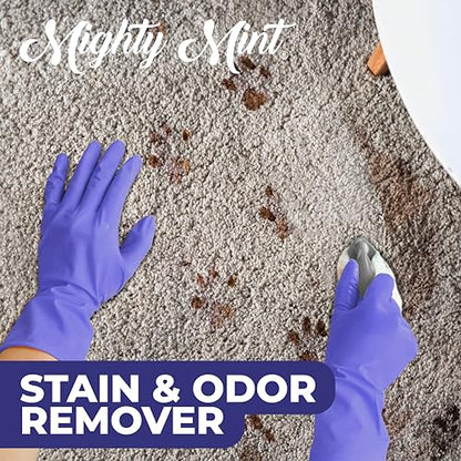 Mighty Mint Stain & Odor Remover, Natural Enzyme Spray Safely Neutralizes Odor and Stains from Dogs, Cats on Carpet, Furniture, Natural Peppermint Scent, 16oz