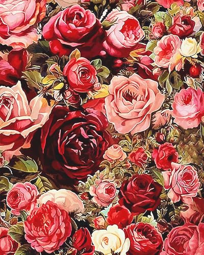 ZRIZQ Flowers Paint by Numbers Kit for Adults Beginner,Roses,16x20 | Full set with wooden brushes,rolled canvas,rich paints.Calming activity.Beginner friendly.Just open and paint. - color: 16"X20"Rolled Canvas(Without Frame)-Roses